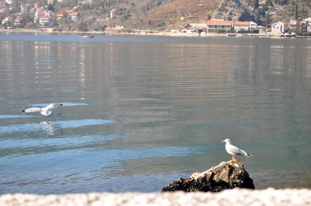 Apartments Vucinovic Tivat Dış mekan fotoğraf