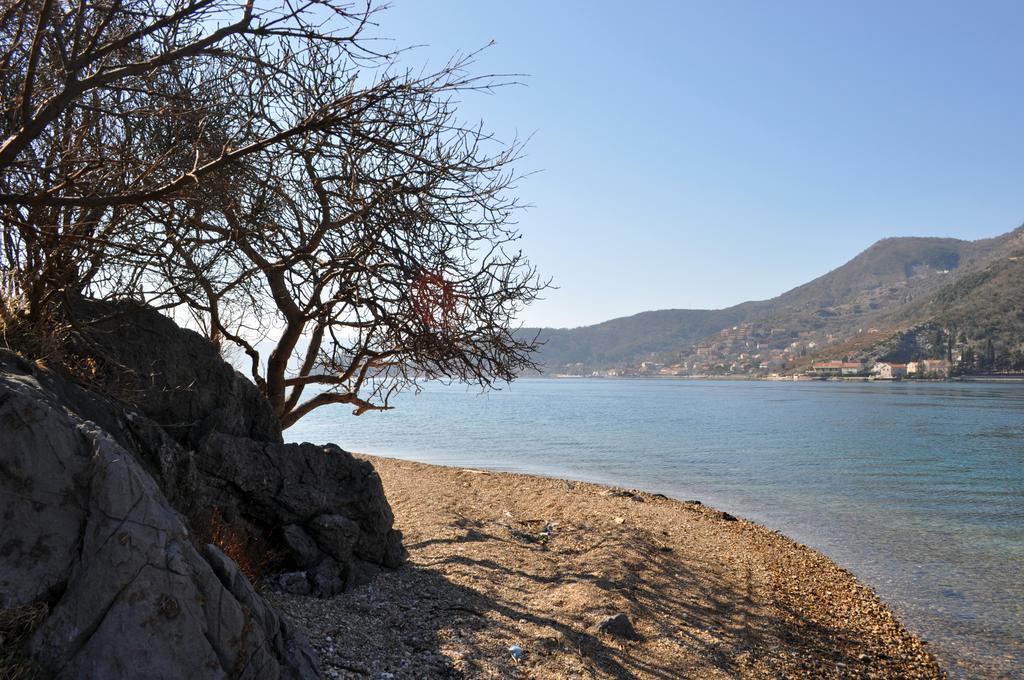 Apartments Vucinovic Tivat Dış mekan fotoğraf