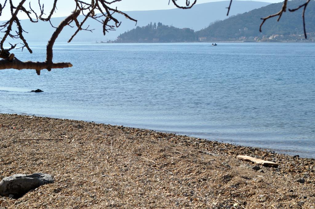 Apartments Vucinovic Tivat Dış mekan fotoğraf
