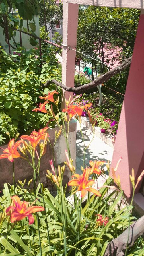 Apartments Vucinovic Tivat Dış mekan fotoğraf
