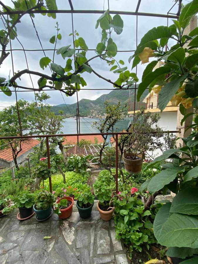 Apartments Vucinovic Tivat Dış mekan fotoğraf